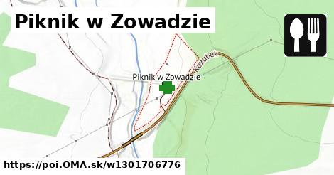 Piknik w Zowadzie