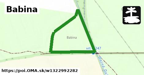 Babina