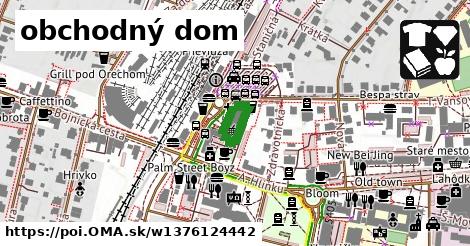 obchodný dom