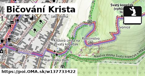 Bičování Krista