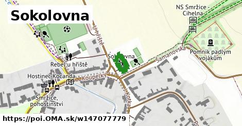 Sokolovna