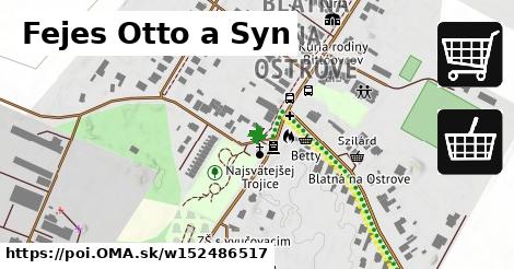 Fejes Otto a Syn