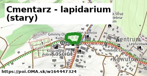 Cmentarz - lapidarium (stary)