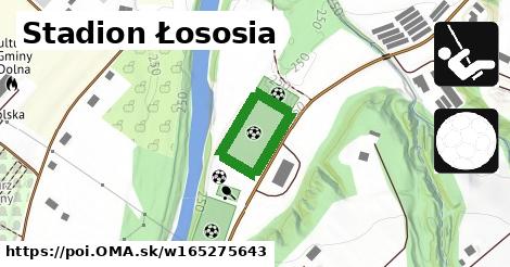 Stadion Łososia