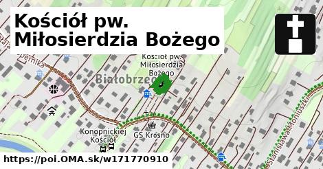 Kościół pw. Miłosierdzia Bożego