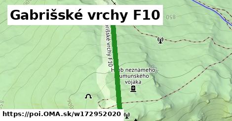 Gabrišské vrchy F10