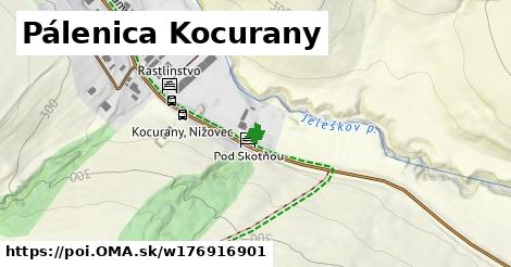 Pálenica Kocurany