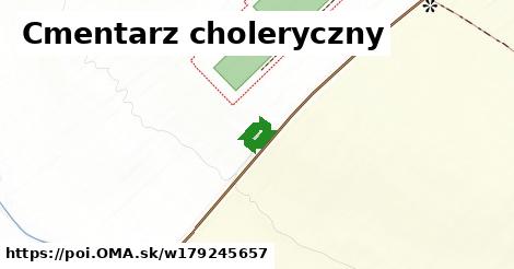 Cmentarz choleryczny