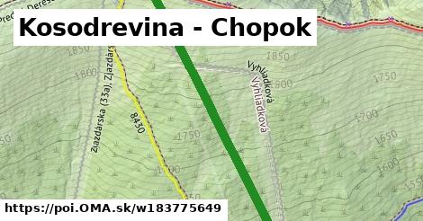 Kosodrevina - Chopok