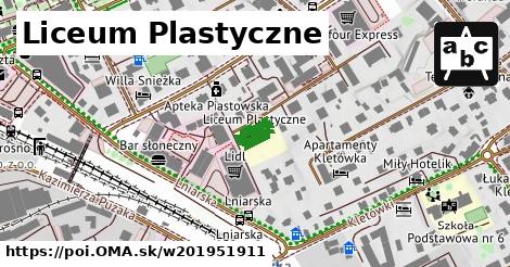 Liceum Plastyczne