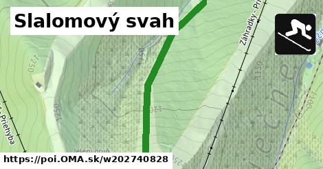 Slalomový svah