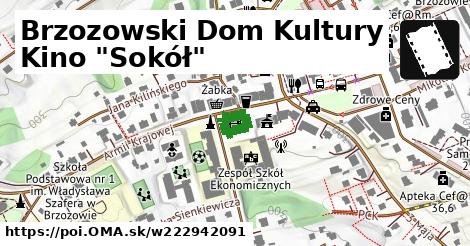 Brzozowski Dom Kultury Kino "Sokół"