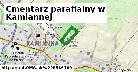 Cmentarz parafialny w Kamiannej