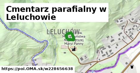 Cmentarz parafialny w Leluchowie