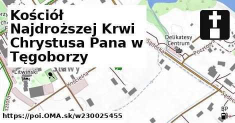 Kościół Najdroższej Krwi Chrystusa Pana w Tęgoborzy