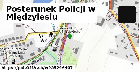 Posterunek Policji w Międzylesiu