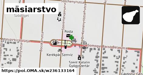 mäsiarstvo