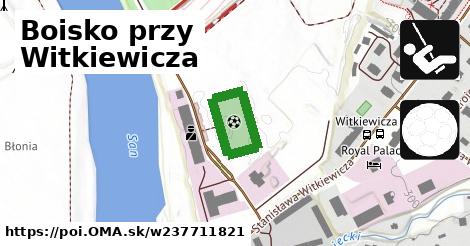 Boisko przy Witkiewicza