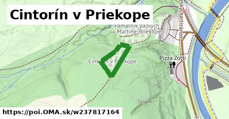 Cintorín v Priekope