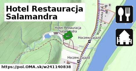 Hotel Restauracja Salamandra