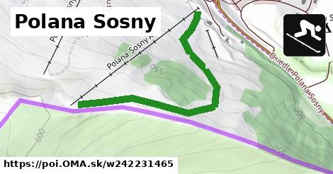 Polana Sosny