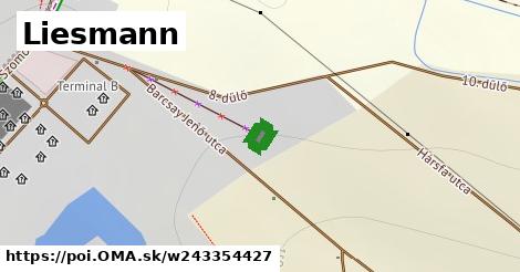 Liesmann