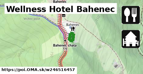 Wellness Hotel Bahenec