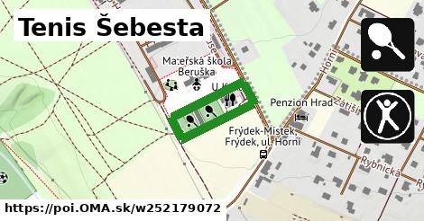 Tenis Šebesta