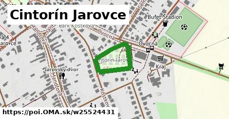 Cintorín Jarovce