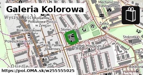 Galeria Kolorowa