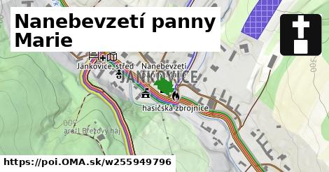 Nanebevzetí panny Marie