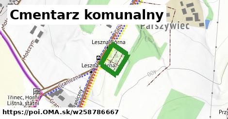 Cmentarz komunalny