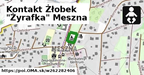 Kontakt Żłobek "Żyrafka" Meszna