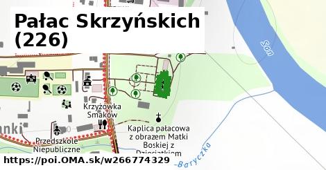 Pałac Skrzyńskich (226)