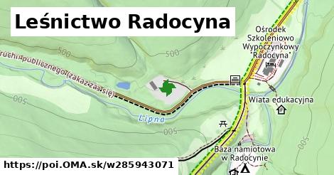 Leśnictwo Radocyna