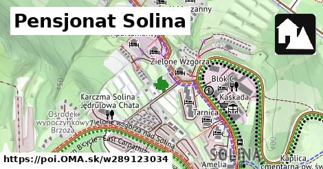 Pensjonat Solina