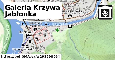 Galeria "Krzywa Jabłonka"