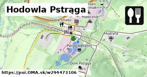 Hodowla Pstrąga