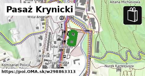 Pasaż Krynicki