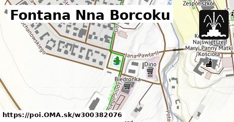 Fontana Nna Borcoku