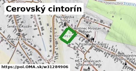 Cerovský cintorín