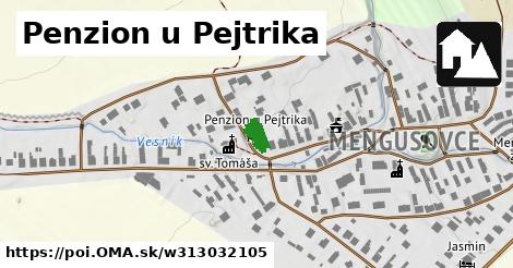 Penzion u Pejtrika