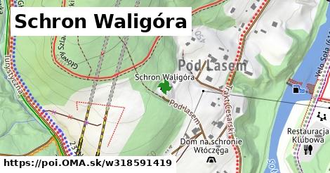 Schron Waligóra