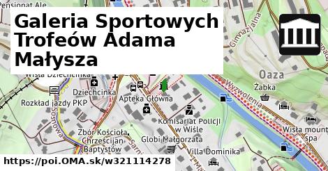 Galeria Sportowych Trofeów Adama Małysza