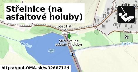 Střelnice (na asfaltové holuby)