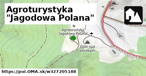 Agroturystyka "Jagodowa Polana"