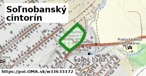 Soľnobanský cintorín