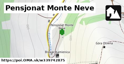 Pensjonat Monte Neve