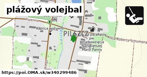 plážový volejbal