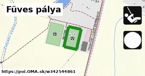 Füves pálya